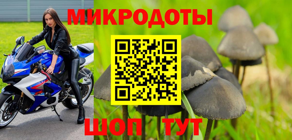 Галлюциногенные грибы Psilocybe Учалы