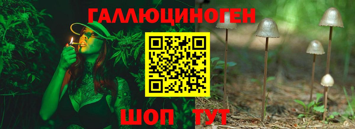 Псилоцибиновые грибы прущие грибы  Галлюциногенные грибы Psilocybe  Учалы  Вход с VPN 